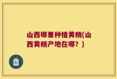 山西哪里种植黄精(山西黄精产地在哪？)