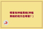 哪里有种植黄精(种植黄精的地方在哪里？)