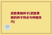 武胜黄精种子(武胜黄精的种子特点与种植技巧)