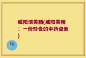 咸阳滇黄精(咸阳黄精：一份珍贵的中药资源)