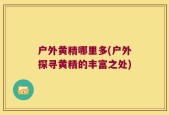 户外黄精哪里多(户外探寻黄精的丰富之处)