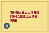 农村妇女去山上挖黄精(农村女性走上山挖掘黄精)