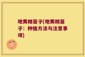 地黄精苗子(地黄精苗子：种植方法与注意事项)