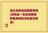 湖北崇阳县胡银德黄精(崇阳县一农民胡银德种植黄精脱贫致富的故事)