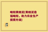略阳黄精泥(黄精泥造福略阳，助力农业生产提质升级)