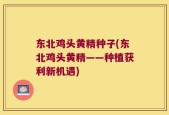 东北鸡头黄精种子(东北鸡头黄精——种植获利新机遇)