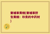 柬埔寨黄精(柬埔寨野生黄精：珍贵的中药材)