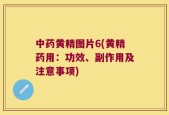 中药黄精图片6(黄精药用：功效、副作用及注意事项)