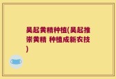 吴起黄精种植(吴起推崇黄精 种植成新农技)