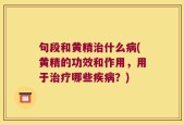 句段和黄精治什么病(黄精的功效和作用，用于治疗哪些疾病？)