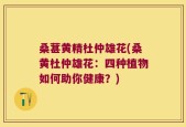 桑葚黄精杜仲雄花(桑黄杜仲雄花：四种植物如何助你健康？)