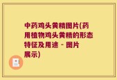 中药鸡头黄精图片(药用植物鸡头黄精的形态特征及用途 - 图片展示)