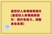 善慈欣人参黄精葛根片(善慈欣人参黄精葛根片：提升免疫力，调整身体素质)