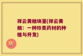 祥云黄精块茎(祥云黄精：一种珍贵药材的种植与开发)