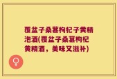 覆盆子桑葚枸杞子黄精泡酒(覆盆子桑葚枸杞黄精酒，美味又滋补)