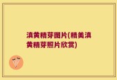 滇黄精芽图片(精美滇黄精芽照片欣赏)