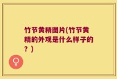 竹节黄精图片(竹节黄精的外观是什么样子的？)