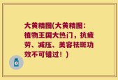 大黄精图(大黄精图：植物王国大热门，抗疲劳、减压、美容祛斑功效不可错过！)