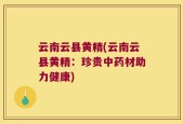 云南云县黄精(云南云县黄精：珍贵中药材助力健康)