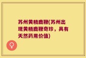 苏州黄精鹿鞭(苏州出现黄精鹿鞭奇珍，具有天然药用价值)
