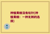 种植黄精没有松针(种植黄精：一种无刺的选择)