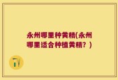 永州哪里种黄精(永州哪里适合种植黄精？)