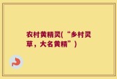 农村黄精灵(“乡村灵草，大名黄精”)