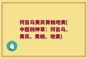 何首乌黄芪黄精地黄(中医四神草：何首乌、黄芪、黄精、地黄)