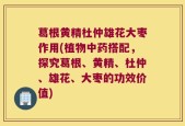 葛根黄精杜仲雄花大枣作用(植物中药搭配，探究葛根、黄精、杜仲、雄花、大枣的功效价值)