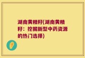 湖南黄精籽(湖南黄精籽：挖掘新型中药资源的热门选择)
