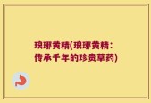 琅琊黄精(琅琊黄精：传承千年的珍贵草药)