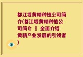都江堰黄精种植公司简介(都江堰黄精种植公司简介 – 全面介绍黄精产业发展的引领者)