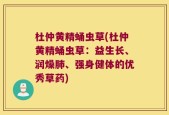 杜仲黄精蛹虫草(杜仲黄精蛹虫草：益生长、润燥肺、强身健体的优秀草药)