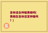 吉林适合种植黄精吗(黄精在吉林适宜种植吗？)