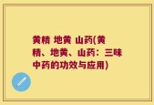 黄精 地黄 山药(黄精、地黄、山药：三味中药的功效与应用)