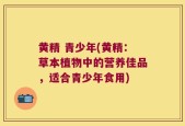 黄精 青少年(黄精：草本植物中的营养佳品，适合青少年食用)