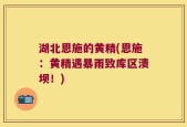 湖北恩施的黄精(恩施：黄精遇暴雨致库区溃坝！)