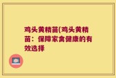 鸡头黄精苗(鸡头黄精苗：保障家禽健康的有效选择