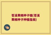 苍溪黄精种子植(苍溪黄精种子种植指南)