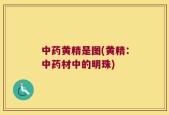 中药黄精是图(黄精：中药材中的明珠)