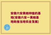 安徽六安黄精种植的基地(安徽六安一黄精基地助推当地农业发展)