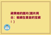 藏黄精的图片(图片揭示：躲藏在里面的宝藏！)