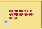 湘潭种植黄精种子(湖南湘潭探秘黄精种子种植方法)