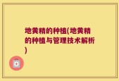 地黄精的种植(地黄精的种植与管理技术解析)