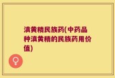 滇黄精民族药(中药品种滇黄精的民族药用价值)