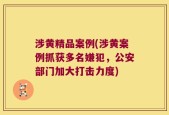 涉黄精品案例(涉黄案例抓获多名嫌犯，公安部门加大打击力度)