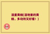 湿重黄精(湿地里的黄精，多功效又好看！)