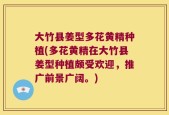 大竹县姜型多花黄精种植(多花黄精在大竹县姜型种植颇受欢迎，推广前景广阔。)