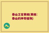 泰山之宝黄精(黄精：泰山的神奇植物)