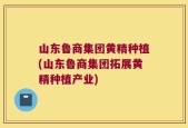 山东鲁商集团黄精种植(山东鲁商集团拓展黄精种植产业)